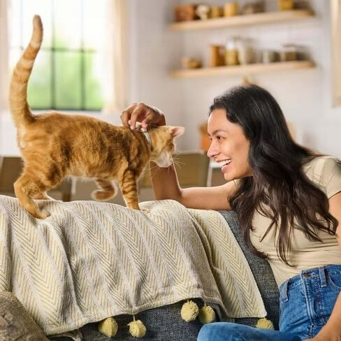 اختيار الغذاء القطط الجاف الأصلي ، حقيبة 30 رطلاً ، وتغذية كاملة ومتوازنة بنسبة 100 في المائة للقطط البالغة ، تشمل 40 فيتامينات أساسية ، معادن ، أحماض أمينية in Kuwait