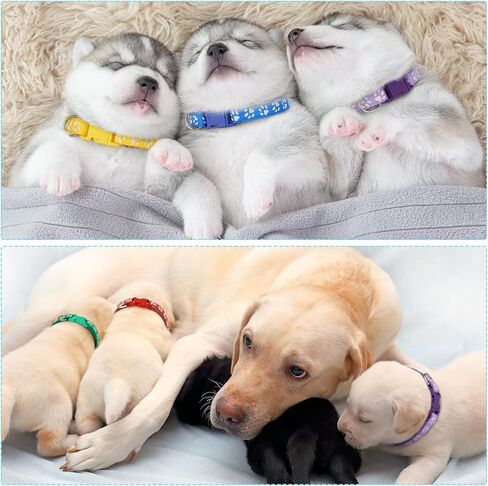 16 Pack Puppy Collars for Litter, Reflective Puppy Collars Adjustable Puppy ID Collars Soft Nylon Whelping Collars for Newborn Litter Puppy Pets-Reflective in Kuwait