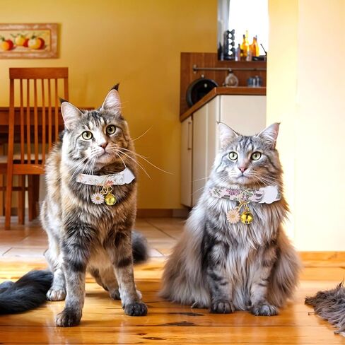 2 حزمة القطن المنفصلة طوقا طوق حيوان أليف لطيف مع جرس زهرة قلادة قلادة هريرة الأزهار الياقات المزخرفة قابلة للتعديل 7-11 بوصة مناسبة للفتاة الفتاة القطط الذكور القطط in Kuwait