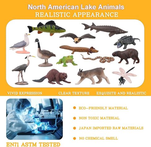 14PCS Lake Topurines - ألعاب الحياة البرية الكندية الواقعية للأطفال - نماذج الحيوانات في أمريكا الشمالية للتعلم العلمي ، وأغطية الكعك ، ومشاريع العلوم ، والهدايا التعليمية in Saudi Arabia