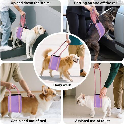 AIITLE Dog Sling for Small Dogs - Adjustable Breathable Reflective Lift Harness, Hind Leg Support for Senior Dogs with Weak Legs, Arthritis & Post-ACL Surgery (S, Purple) in Kuwait