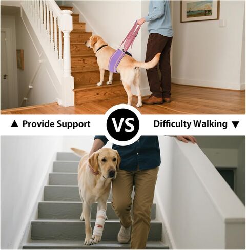 AIITLE Dog Sling for Small Dogs - Adjustable Breathable Reflective Lift Harness, Hind Leg Support for Senior Dogs with Weak Legs, Arthritis & Post-ACL Surgery (S, Purple) in Kuwait