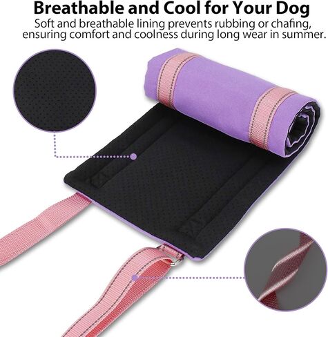 AIITLE Dog Sling for Small Dogs - Adjustable Breathable Reflective Lift Harness, Hind Leg Support for Senior Dogs with Weak Legs, Arthritis & Post-ACL Surgery (S, Purple) in Kuwait