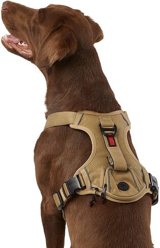 Kong Ultra Dream Vals Harness (كبير ، تان) in Saudi Arabia