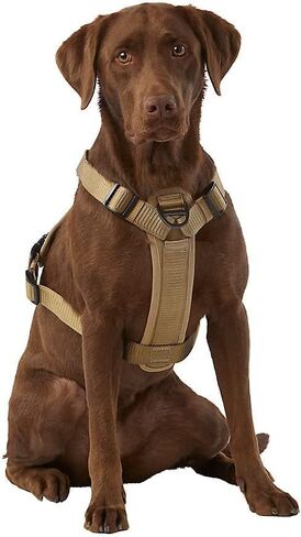Kong Ultra Dream Vals Harness (كبير ، تان) in Saudi Arabia