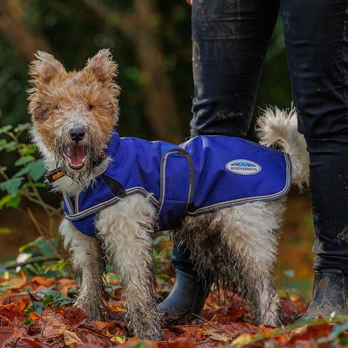 WeatherBeeta ComFiTec Premier Free Parka Deluxe Dog Coat Medium, Dark Blue/Grey/White, 16" in Saudi Arabia