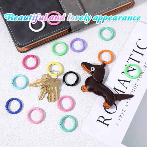 1 Inch Colorful Ring Clips, 24 Pcs Metal Keychain Clasps Loose Leaf Round Binder Spring O Ring Clasp Keychain Clips Binder Rings for Paper Binding Crafts Index Cards Book Assorted Sizes (12 Colors) in Saudi Arabia