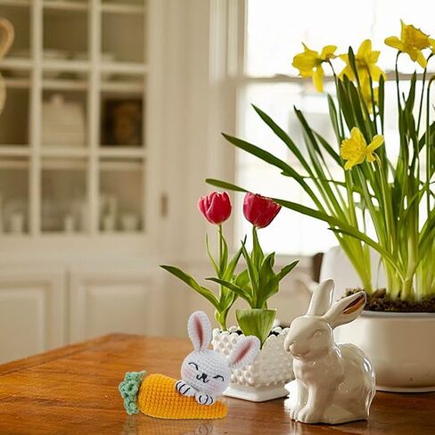 FreeBloss 2 مجموعة الكروشيه Kit Crochet Rabbit & Carrot Crochet Animals Kit للمبتدئين مع دروس الفيديو التعليمية الكروشيه طقم خيوط الكروشيه والخطاف للمبتدئين مجموعة الحياكة لهدية عيد الفصح in Saudi Arabia
