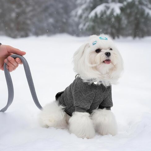 Hoodie الكلب Expawlorer للكلاب الصغيرة المتوسطة الكبيرة ، وملابس الحيوانات الأليفة الناعمة والدافئة ، وسترة الكلب مع ثقب المقود والجيب ، ومعطف الطقس البارد في فصل الشتاء ، والبلوز للبنين ، والرمادي L. in Kuwait