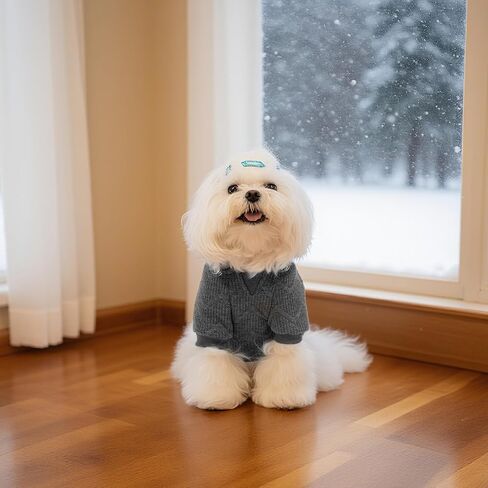 Hoodie الكلب Expawlorer للكلاب الصغيرة المتوسطة الكبيرة ، وملابس الحيوانات الأليفة الناعمة والدافئة ، وسترة الكلب مع ثقب المقود والجيب ، ومعطف الطقس البارد في فصل الشتاء ، والبلوز للبنين ، والرمادي L. in Kuwait