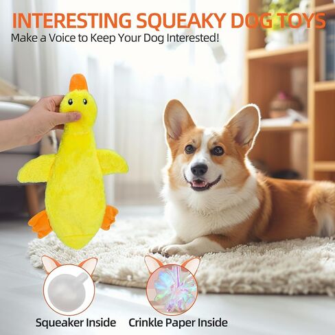 Pawchie Halloween speceaky Dog Toys 2 pcs للكلاب الصغيرة المتوسطة ، لا حشو لعبة جرو جرو ، ألعاب زخارف ناعمة ألعاب مضغ تفاعلية خالية من الفوضى للملل المثالي ، الهيكل العظمي والمومياء in Kuwait