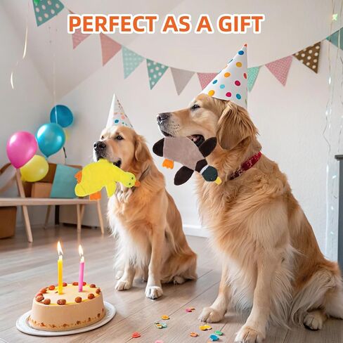 Pawchie Halloween speceaky Dog Toys 2 pcs للكلاب الصغيرة المتوسطة ، لا حشو لعبة جرو جرو ، ألعاب زخارف ناعمة ألعاب مضغ تفاعلية خالية من الفوضى للملل المثالي ، الهيكل العظمي والمومياء in Kuwait