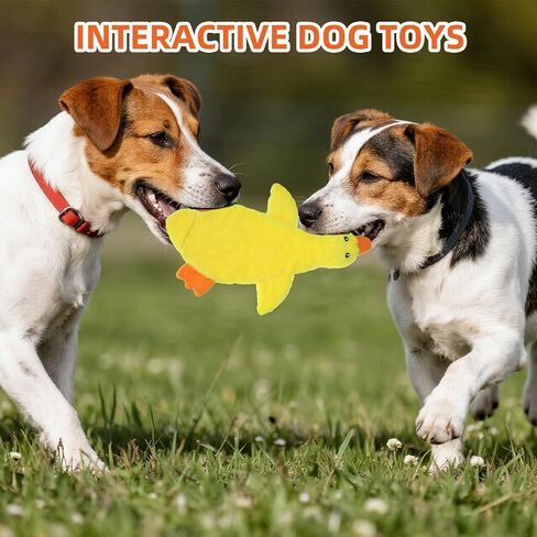 Pawchie Halloween speceaky Dog Toys 2 pcs للكلاب الصغيرة المتوسطة ، لا حشو لعبة جرو جرو ، ألعاب زخارف ناعمة ألعاب مضغ تفاعلية خالية من الفوضى للملل المثالي ، الهيكل العظمي والمومياء in Kuwait