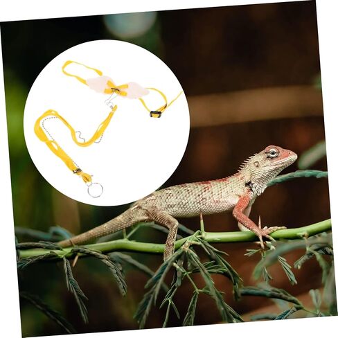 حبل الجر السحرية Yardwe للحيوانات الأليفة Lightweight Walkh Leash للتنينات الملتحية Geckos وأكثر سهولة في الاستخدام وتخزين للمغامرات في الهواء الطلق in Kuwait