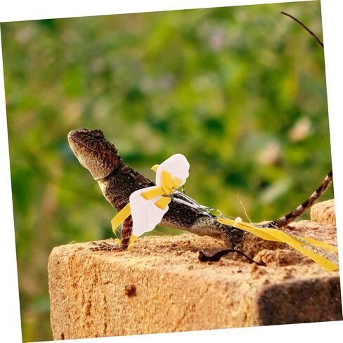 حبل الجر السحرية Yardwe للحيوانات الأليفة Lightweight Walkh Leash للتنينات الملتحية Geckos وأكثر سهولة في الاستخدام وتخزين للمغامرات في الهواء الطلق in Kuwait