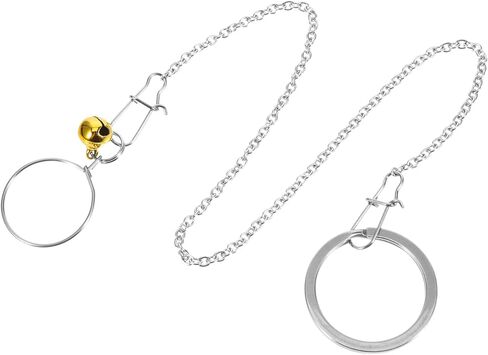 من الفولاذ المقاوم للصدأ ببغاء الرقبة طوق مع سلسلة التدريب على الطيور للطيور لبودجيات cockatiels والطيور حب القوية لجر الطيور للطيران والتدريب في الهواء الطلق in Kuwait