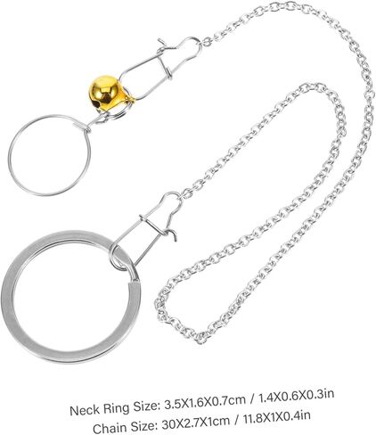 من الفولاذ المقاوم للصدأ ببغاء الرقبة طوق مع سلسلة التدريب على الطيور للطيور لبودجيات cockatiels والطيور حب القوية لجر الطيور للطيران والتدريب في الهواء الطلق in Kuwait