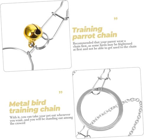 من الفولاذ المقاوم للصدأ ببغاء الرقبة طوق مع سلسلة التدريب على الطيور للطيور لبودجيات cockatiels والطيور حب القوية لجر الطيور للطيران والتدريب في الهواء الطلق in Kuwait