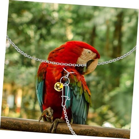 من الفولاذ المقاوم للصدأ ببغاء الرقبة طوق مع سلسلة التدريب على الطيور للطيور لبودجيات cockatiels والطيور حب القوية لجر الطيور للطيران والتدريب في الهواء الطلق in Kuwait