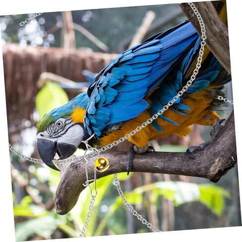 من الفولاذ المقاوم للصدأ ببغاء الرقبة طوق مع سلسلة التدريب على الطيور للطيور لبودجيات cockatiels والطيور حب القوية لجر الطيور للطيران والتدريب في الهواء الطلق in Kuwait