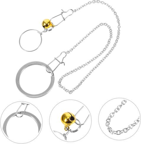 من الفولاذ المقاوم للصدأ ببغاء الرقبة طوق مع سلسلة التدريب على الطيور للطيور لبودجيات cockatiels والطيور حب القوية لجر الطيور للطيران والتدريب في الهواء الطلق in Kuwait