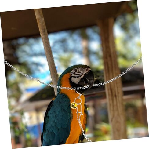 من الفولاذ المقاوم للصدأ ببغاء الرقبة طوق مع سلسلة التدريب على الطيور للطيور لبودجيات cockatiels والطيور حب القوية لجر الطيور للطيران والتدريب في الهواء الطلق in Kuwait