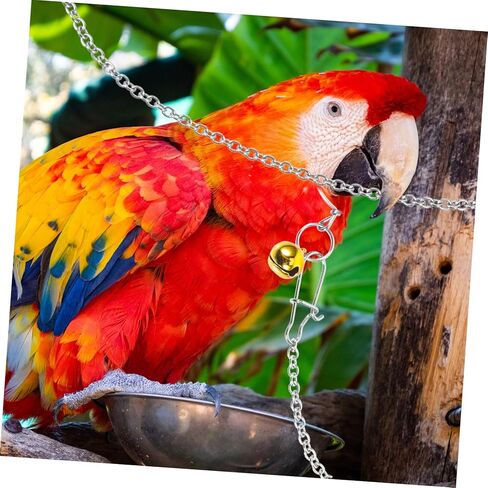 من الفولاذ المقاوم للصدأ ببغاء الرقبة طوق مع سلسلة التدريب على الطيور للطيور لبودجيات cockatiels والطيور حب القوية لجر الطيور للطيران والتدريب في الهواء الطلق in Kuwait