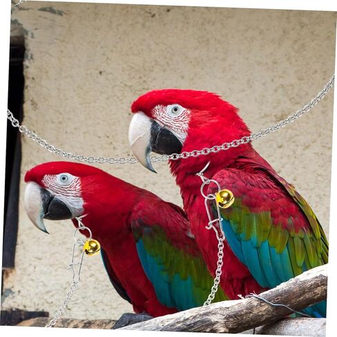 من الفولاذ المقاوم للصدأ ببغاء الرقبة طوق مع سلسلة التدريب على الطيور للطيور لبودجيات cockatiels والطيور حب القوية لجر الطيور للطيران والتدريب في الهواء الطلق in Kuwait