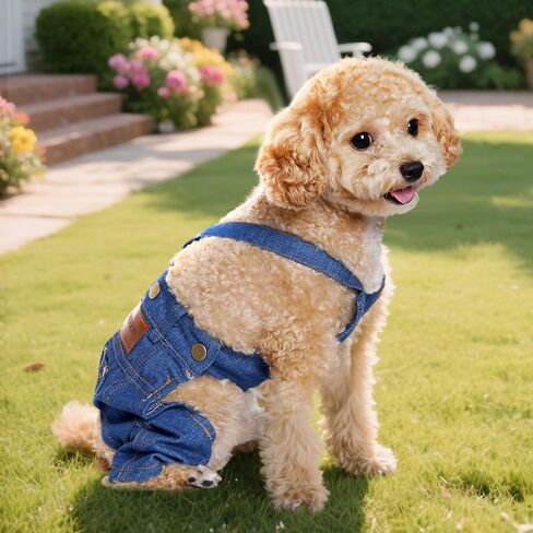 Choyaxo Dog Cloth Sailds Sails Pet Strap Pants for Small Puppy Cat Pets Jean Jean Sling Sling Sling Combs Dog Association (Blue ، Medium) in Kuwait