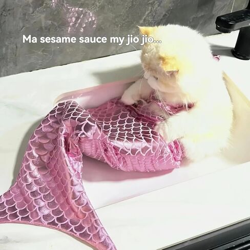 أزياء Cat مضحك ، أزياء حورية البحر ، ذيل حورية البحر للقطط الملابس الإبداعية للكلاب الصغيرة ، ذيول الدعائم صور مضحكة ولوازم الحفلات (الأزرق) in Kuwait