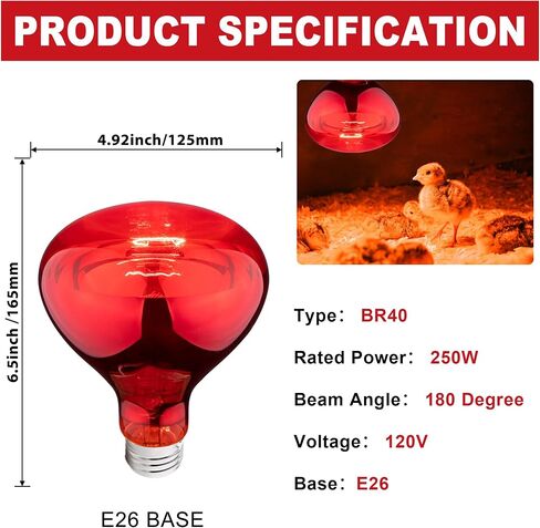 4 Pack 250W Heat Lamp Bulbs for Chicks, R40 Red Heat Lamp for Chickens, Infrared Heating Bulbs for Brooder Heater, I Incandescent Heat Bulb for Pet, Bathroom, Food in Saudi Arabia