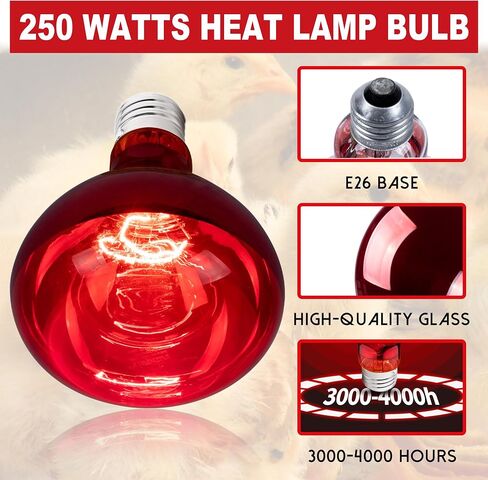 4 Pack 250W Heat Lamp Bulbs for Chicks, R40 Red Heat Lamp for Chickens, Infrared Heating Bulbs for Brooder Heater, I Incandescent Heat Bulb for Pet, Bathroom, Food in Saudi Arabia