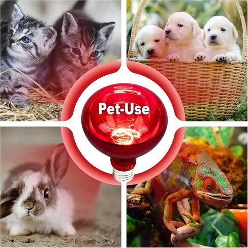 4 Pack 250W Heat Lamp Bulbs for Chicks, R40 Red Heat Lamp for Chickens, Infrared Heating Bulbs for Brooder Heater, I Incandescent Heat Bulb for Pet, Bathroom, Food in Saudi Arabia