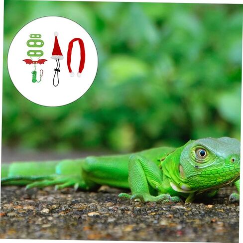 MERRYHAPY 1Set Adorable Lizard Leash with Hat Scarf Wings Comfortable Pet Harness for Outdoor Walks for Lizards and Reptiles in Kuwait