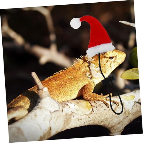 MERRYHAPY 1Set Adorable Lizard Leash with Hat Scarf Wings Comfortable Pet Harness for Outdoor Walks for Lizards and Reptiles in Kuwait