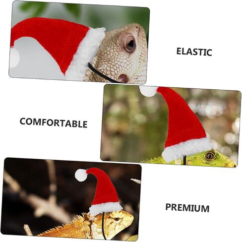 MERRYHAPY 1Set Adorable Lizard Leash with Hat Scarf Wings Comfortable Pet Harness for Outdoor Walks for Lizards and Reptiles in Kuwait