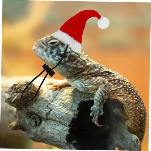 MERRYHAPY 1Set Adorable Lizard Leash with Hat Scarf Wings Comfortable Pet Harness for Outdoor Walks for Lizards and Reptiles in Kuwait
