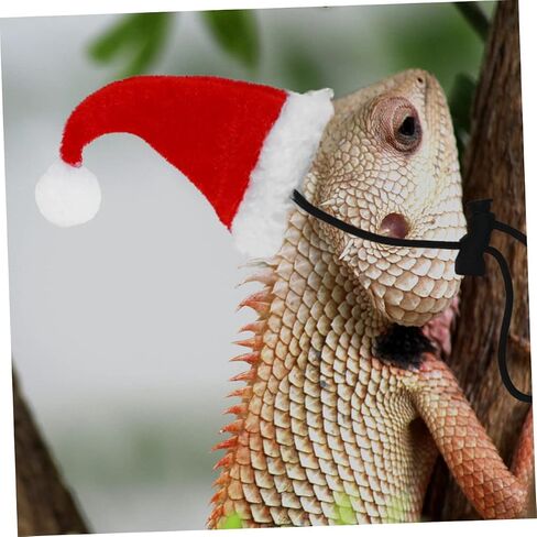 MERRYHAPY 1Set Adorable Lizard Leash with Hat Scarf Wings Comfortable Pet Harness for Outdoor Walks for Lizards and Reptiles in Kuwait