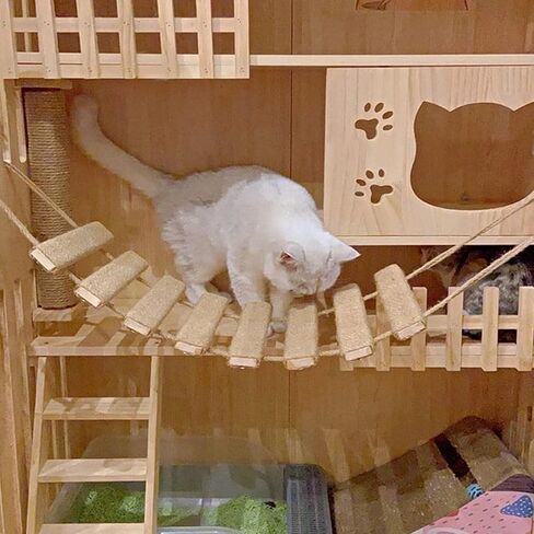 Cat Bridge 20in Cat Climbing Frame Outdoor Cat Tree Wall Climbing Bridge Climbing Rope Ladder for Cat Pets Climbing Frame in Saudi Arabia