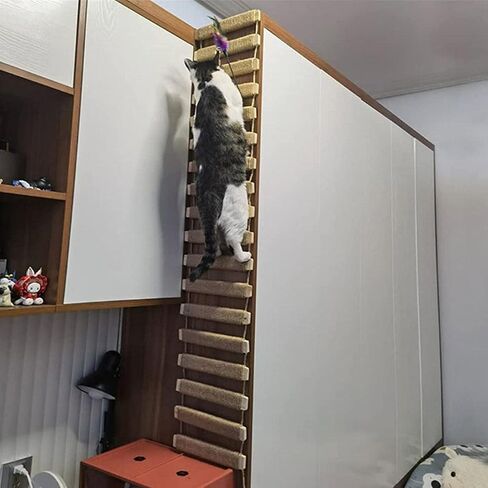 Cat Bridge 20in Cat Climbing Frame Outdoor Cat Tree Wall Climbing Bridge Climbing Rope Ladder for Cat Pets Climbing Frame in Saudi Arabia