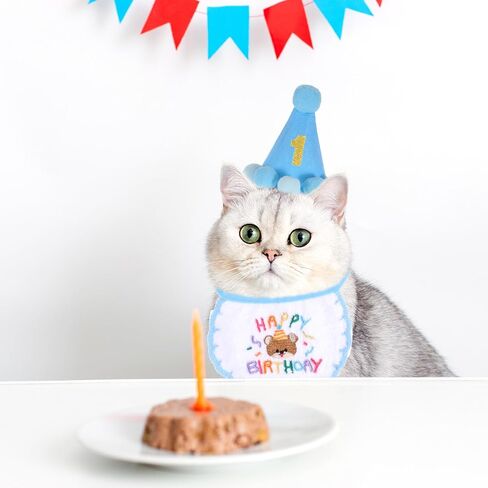 Blue Boy Cat Kitten Birthday Bandana Hat Numbers Cat Party Hat with Numbers Cats Birthday Party Supplies Small Dog Apparel Outfits Cats Embroidered Scarf Set Cute Pet Happy Birthdays Decorations in Saudi Arabia