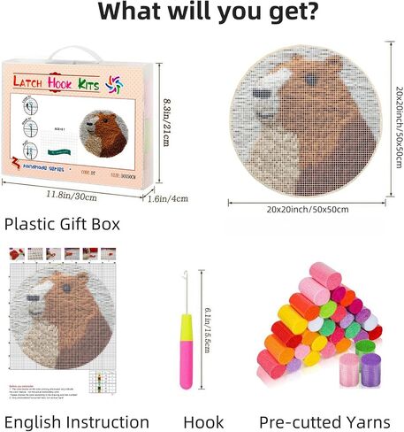 Latch Hook Rug Kit Cute Capybara Round Carpet Crochet Yarn Craft DIY Hook and Latch Door Mat Tapestry for Christmas Home Floor Decoration 50x50cm-1 in Saudi Arabia