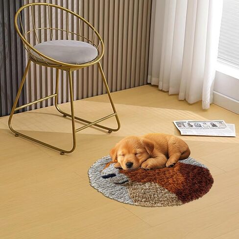Latch Hook Rug Kit Cute Capybara Round Carpet Crochet Yarn Craft DIY Hook and Latch Door Mat Tapestry for Christmas Home Floor Decoration 50x50cm-1 in Saudi Arabia