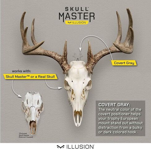 مجموعة تركيب قرون الجمجمة الرئيسية من ماونتن مايك - مجموعة تركيب على النمط الأوروبي للقرون - تناسب معظم القرون - متوافقة مع القرون المحصودة والمتساقطة - لأسباب طبيعية (متوسطة)... in Kuwait