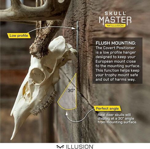 مجموعة تركيب قرون الجمجمة الرئيسية من ماونتن مايك - مجموعة تركيب على النمط الأوروبي للقرون - تناسب معظم القرون - متوافقة مع القرون المحصودة والمتساقطة - لأسباب طبيعية (متوسطة)... in Kuwait
