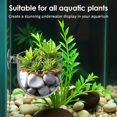 2 PCS Aquarium Plant Holder Aquascape Decoration مع أكواب شفط صافية خزان السمك النباتية كوب النباتات المائية لخزان السمك in Saudi Arabia