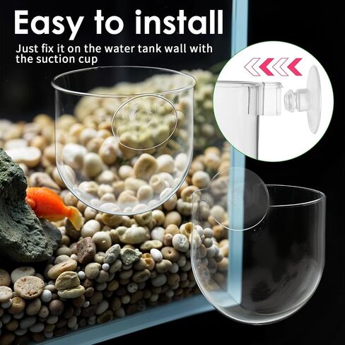 2 PCS Aquarium Plant Holder Aquascape Decoration مع أكواب شفط صافية خزان السمك النباتية كوب النباتات المائية لخزان السمك in Saudi Arabia