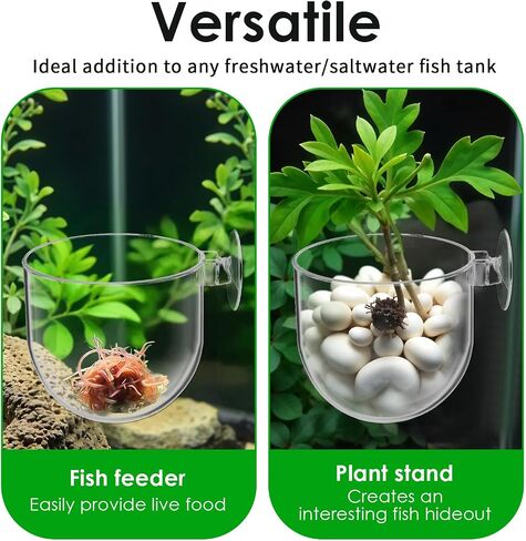 2 PCS Aquarium Plant Holder Aquascape Decoration مع أكواب شفط صافية خزان السمك النباتية كوب النباتات المائية لخزان السمك in Saudi Arabia