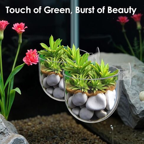 2 PCS Aquarium Plant Holder Aquascape Decoration مع أكواب شفط صافية خزان السمك النباتية كوب النباتات المائية لخزان السمك in Saudi Arabia