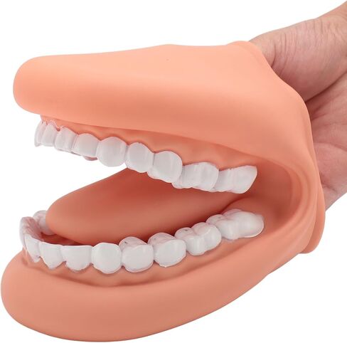 Mouth Hand Puppet with Tongue, Soft Silicone Mouth Puppet for Kids, 28 Teeth, Mouth Model, Speech Toy, Simulation & Teaching in Saudi Arabia